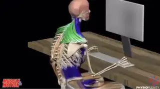 そノさき所属・大阪のシーサー🦁 島袋のエステ・リラクイメージ