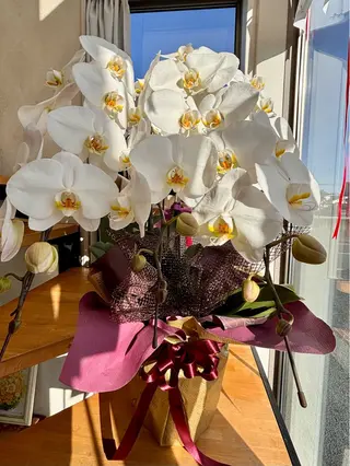 SALON  RODAN所属・焼津市三和 MASUDAのネイルデザイン