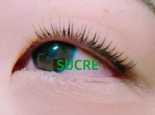 マツエク・マツパ EyelashSalon Liz.&所属・Liz.&現ino 平田のマツエク・マツパデザイン