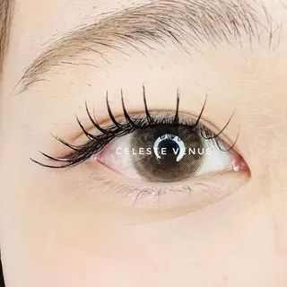 マツエク・マツパ Celeste Venus所属・🧸Celeste Venusのマツエク・マツパデザイン