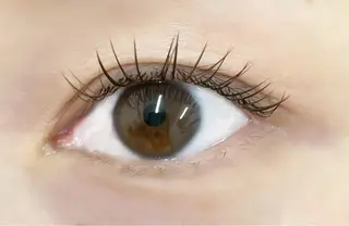 マツエク・マツパ DOLL -eyelash-のマツエク・マツパデザイン