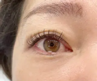 マツエク・マツパ Neo Beauty松原店所属・Neobeauty アイサロン専門店の眉毛・アイブロウイメージ