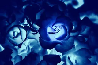 アロマ リラクゼーションサロン🌿オリーブ所属・オーナーセラピスト オリーブ🌿miuのその他イメージ