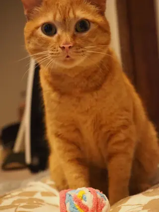 kiki nail 二子玉川のネイルデザイン