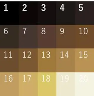 カラー レイヤースタイル /宮本セナのヘアスタイル