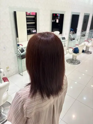 カラー EARTH 🐢 鈴木優大 🐢のヘアスタイル