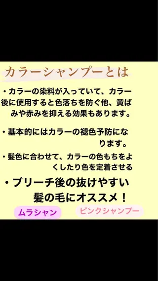 カラー ニスル　町田店所属・似合わせカットカラー 望月一生のヘアスタイル