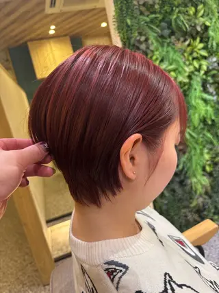 ショート 古賀 主馬のヘアスタイル
