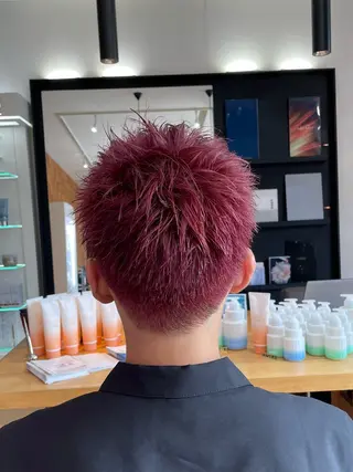 ショート メンズ ⚜️志村 哲也⚜️のヘアスタイル