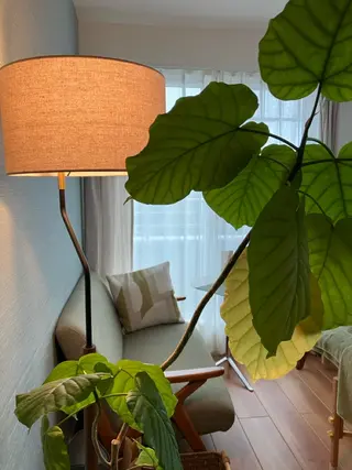 田中 まさみのエステ・リラクイメージ