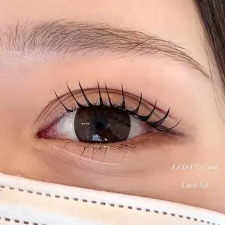 マツエク・マツパ EYELA 小築🐈‍⬛🤍のマツエク・マツパデザイン