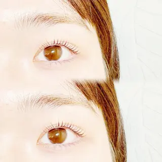 マツエク・マツパ plume eyelashのマツエク・マツパデザイン