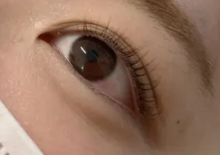 マツエク・マツパ Bruges 自由が丘のマツエク・マツパデザイン