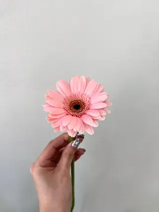 カラー 暖色カラー／ ヘアセット🌛櫻井舞のヘアスタイル