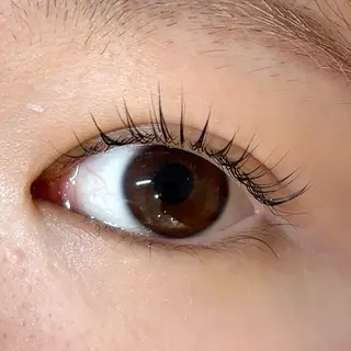 マツエク・マツパ jessica🪽 yoshida🩰のマツエク・マツパデザイン