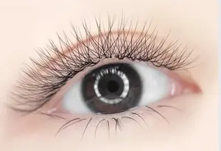 マツエク・マツパ Maylie Nail所属・キイ サロンのネイルデザイン