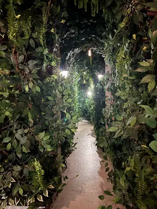 izaki satomiのエステ・リラクイメージ