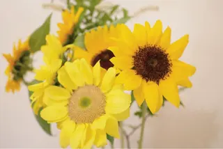 ミディアム カラー パーマ ヘアアレンジ メンズ ネイル マツエク・マツパ ニキビ跡専門サロン Ainaのエステ・リラクイメージ