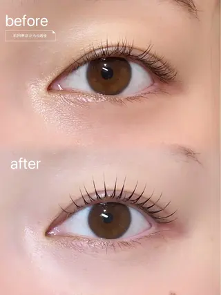 マツエク・マツパ SUGAR 綱崎愛音のマツエク・マツパデザイン