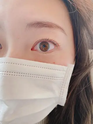 マツエク・マツパ Luana所属・🕊 Luana 🌷︎の眉毛・アイブロウイメージ