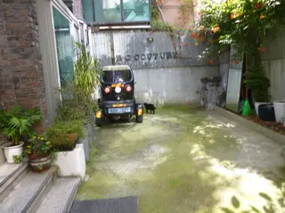 haru🌘レイヤー ･ウルフ/川崎のヘアスタイル