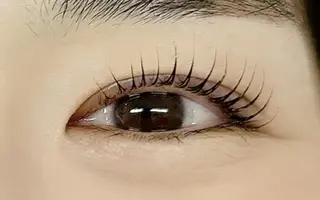 マツエク・マツパ Sédi eyelash所属・Sédi eyelashのマツエク・マツパデザイン