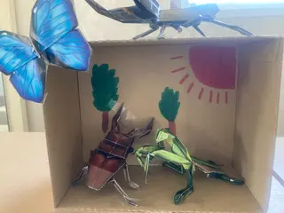 岩井 秋子のエステ・リラクイメージ