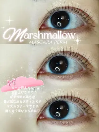 マツエク・マツパ れいな仙台マツパ🩵 LionHeart”のマツエク・マツパデザイン