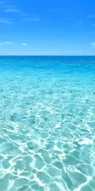 ネイル asuka 🐰のネイルデザイン