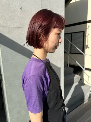 ショート カラー ボブ/似合わせカット /ニュアンスカラーのヘアスタイル