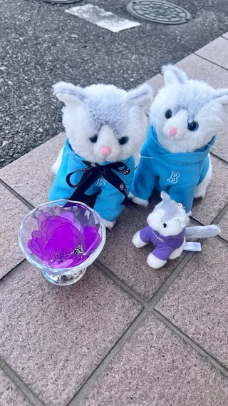 メナードフェイシャルエステサロン伊勢崎宮子店所属・メナード伊勢崎宮子店 矢内のその他イメージ