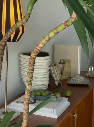 ネイル stayshe nail所属・高円寺 nail chieのネイルデザイン