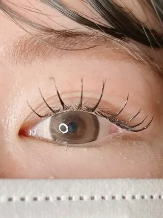 マツエク・マツパ elua eyelash所属・elua eyelashの眉毛・アイブロウイメージ