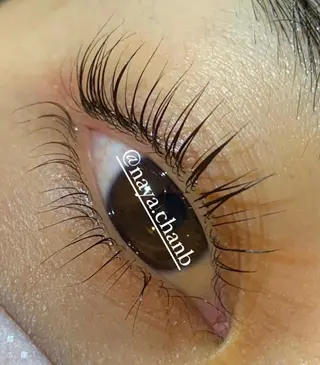 マツエク・マツパ アイラッシュリゾート　カハラ　立川所属・🦎kahala なや🦎のマツエク・マツパデザイン