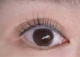 マツエク・マツパ トータルビューティー サロン・Ｎの眉毛・アイブロウイメージ