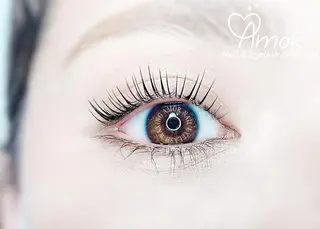 マツエク・マツパ Amor所属・AMOR EYELASHのマツエク・マツパデザイン