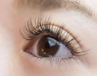 マツエク・マツパ Lily Roseスタッフ一同のマツエク・マツパデザイン