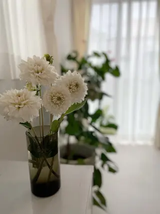 Dahlia所属・舌古 由梨のエステ・リラクイメージ