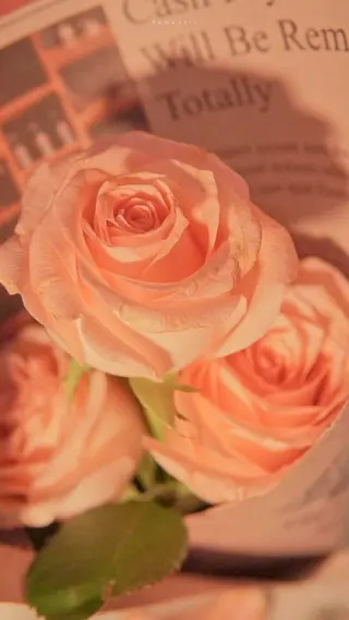 Bianca 銀座 Hinanoのネイルデザイン