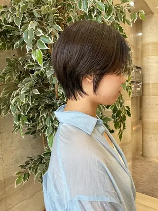 ショート 韓国/透明感 Veluaのヘアスタイル