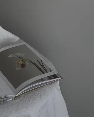 🌱‬Bianca 大宮店 MAEDAのマツエク・マツパデザイン