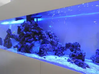 Venus エステ　脱毛のエステ・リラクイメージ