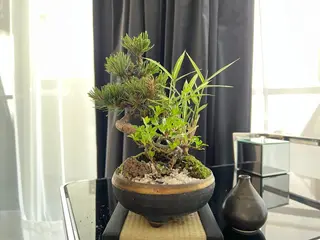 白金Zeus ビューティ&ヘルスのエステ・リラクイメージ