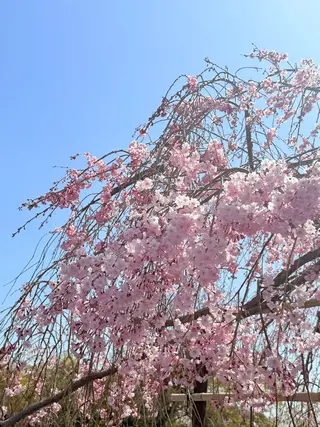 アイブロウ lit. YURIのマツエク・マツパデザイン