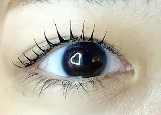 マツエク・マツパ Celeste Venus所属・🧸Celeste Venusのマツエク・マツパデザイン