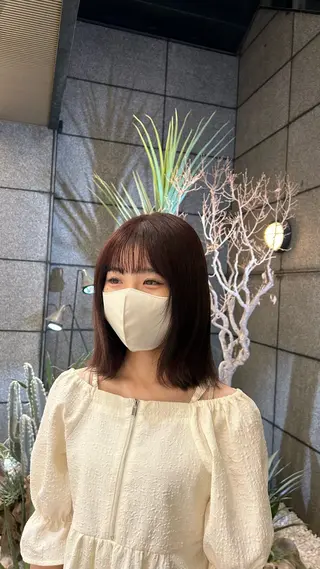 カラー ꪆৎ平行アーチ ྀི ワカナの眉毛・アイブロウイメージ