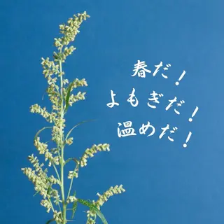 ミディアム カラー パーマ ヘアアレンジ メンズ キッズ ネイル マツエク・マツパ アイブロウ 触れたくなる モテ肌へ...❤︎のエステ・リラクイメージ