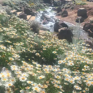 マツエク・マツパ . mikuのマツエク・マツパデザイン