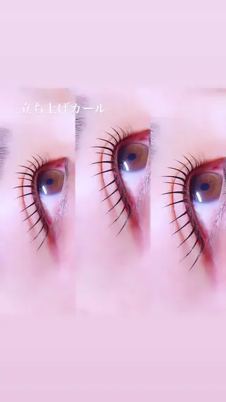 マツエク・マツパ ロニセラ アイラッシュのマツエク・マツパデザイン