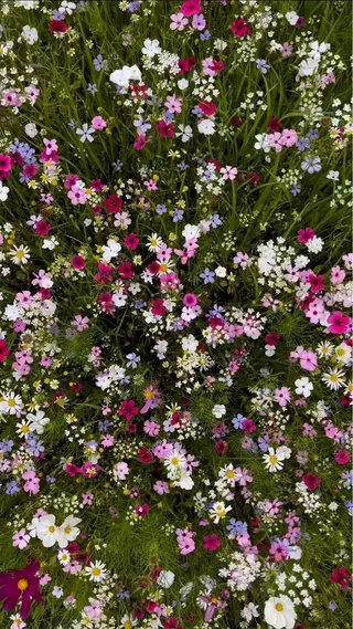 オト/レイヤー/ Wカラー/メンズのヘアスタイル